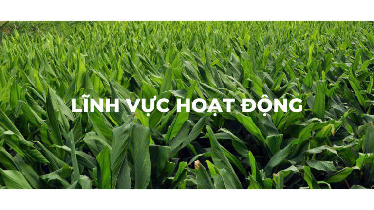 Ưu đãi đặc biệt hôm nay